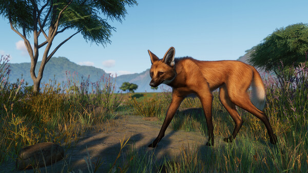 Planet Zoo Premium Edition 2023 EU Steam CD Key