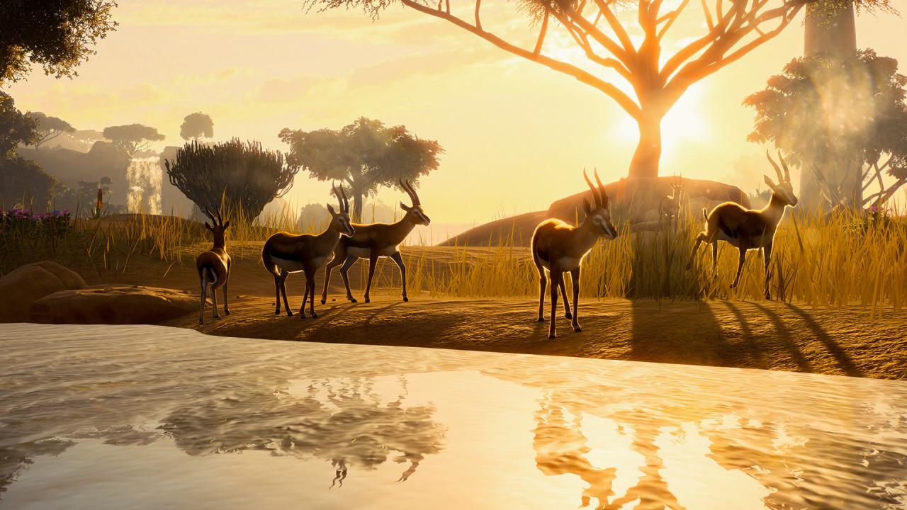 Planet Zoo Premium Edition 2023 EU Steam CD Key