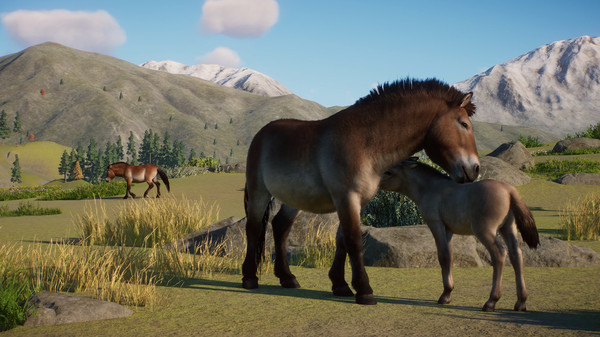 Planet Zoo Premium Edition 2023 EU Steam CD Key