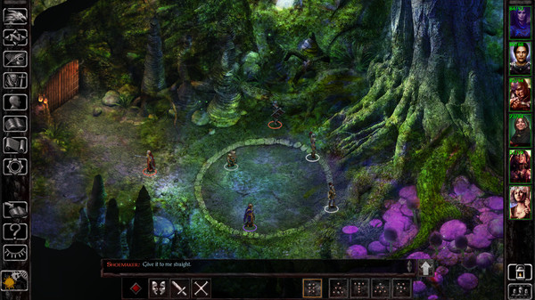 Baldur’s Gate: Deluxe Edition Bundle Steam CD Key