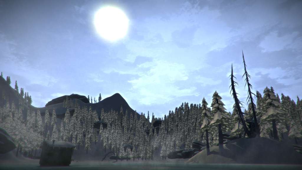 The Long Dark: Survival Edition Steam CD key