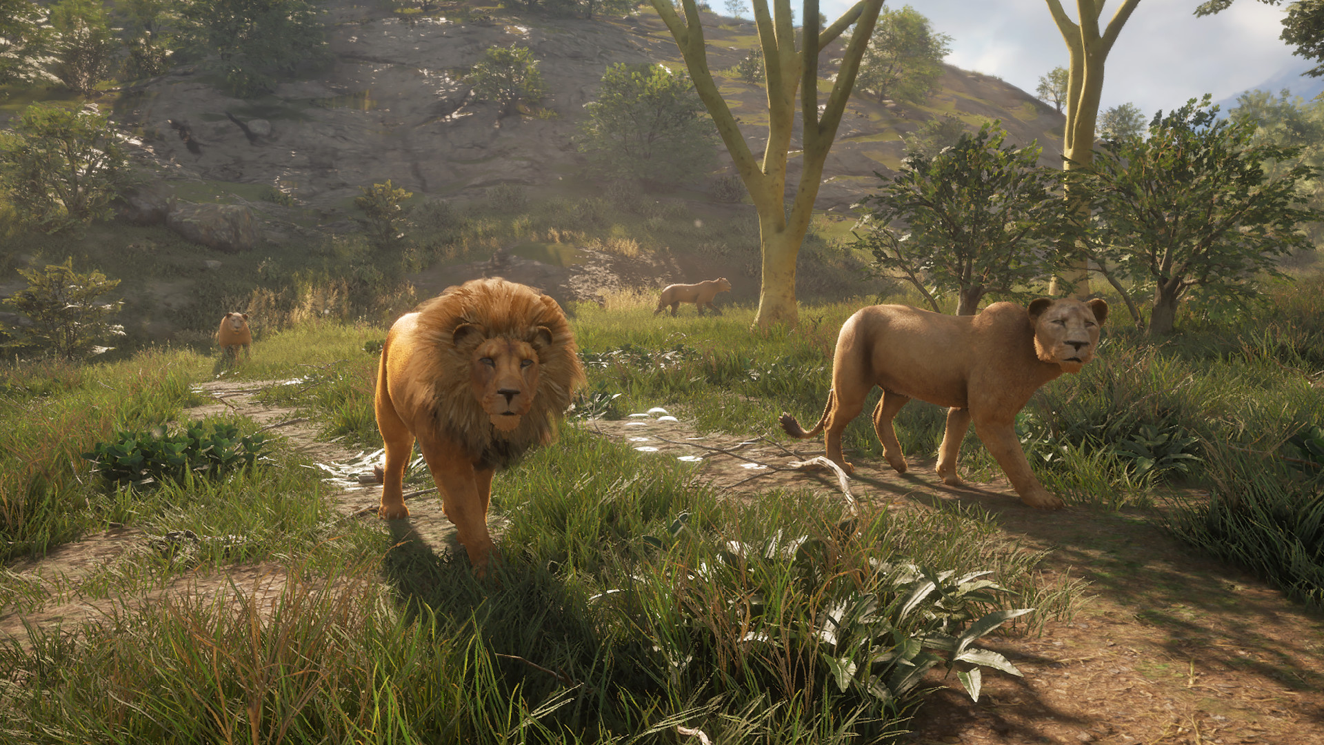 theHunter: Call of the Wild - Master Hunter Bundle Steam CD Key