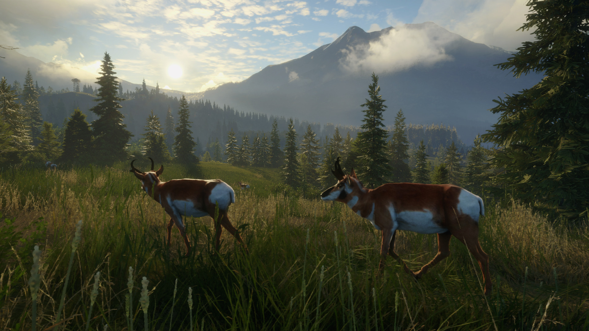 theHunter: Call of the Wild - Master Hunter Bundle Steam CD Key