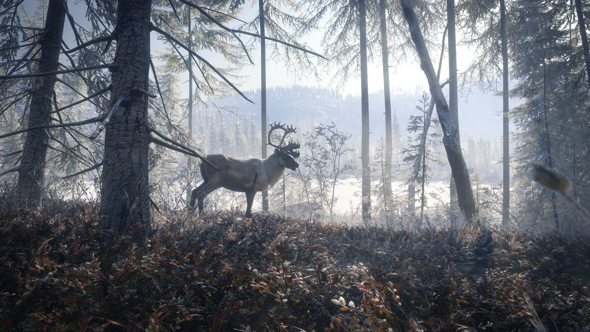 theHunter: Call of the Wild - Master Hunter Bundle Steam CD Key