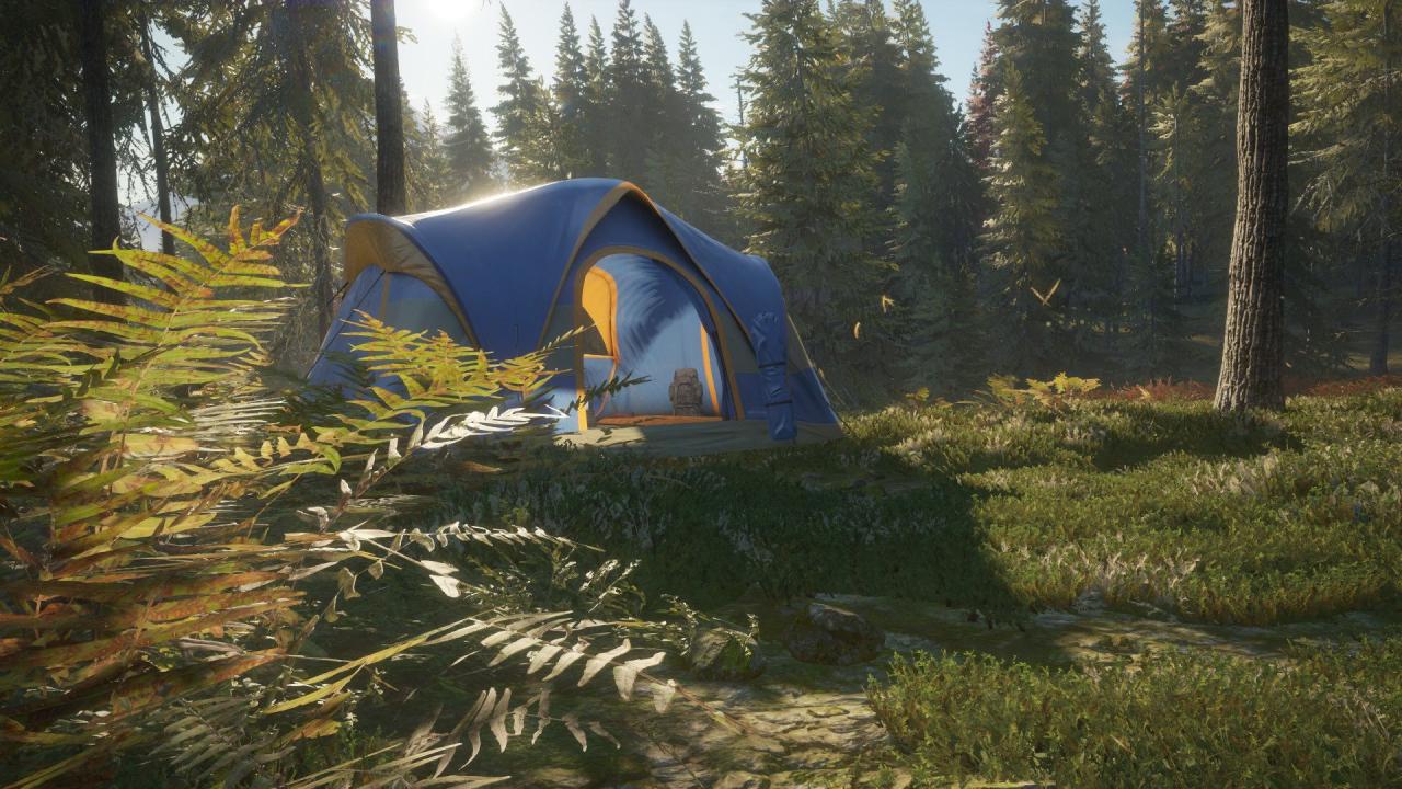 theHunter: Call of the Wild - Tents & Ground Blinds DLC PC Steam CD Key (valid until March, 2027)