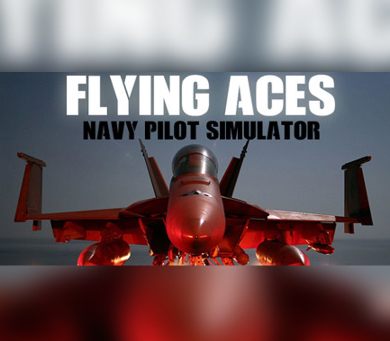 Flying Aces - Navy Pilot Simulator Steam CD Key