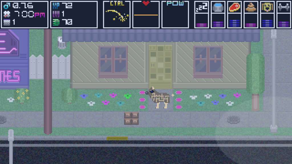 Domestic Dog Steam CD Key