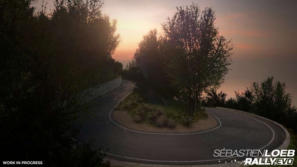 Sébastien Loeb Rally EVO Special Edition ASIA Steam Gift 