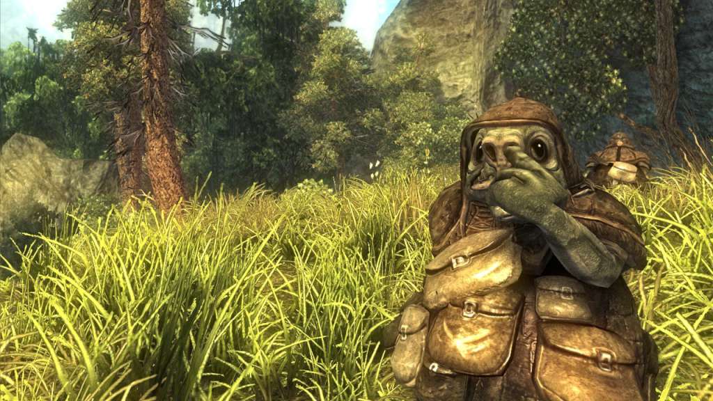 Risen GOG CD Key