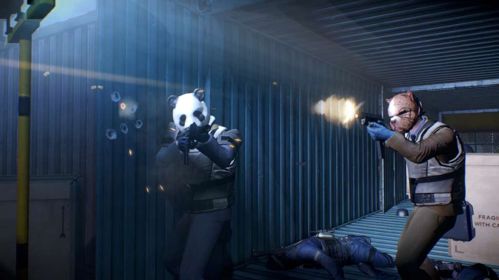 PAYDAY 2 - Gage Weapon Pack Bundle Steam Gift