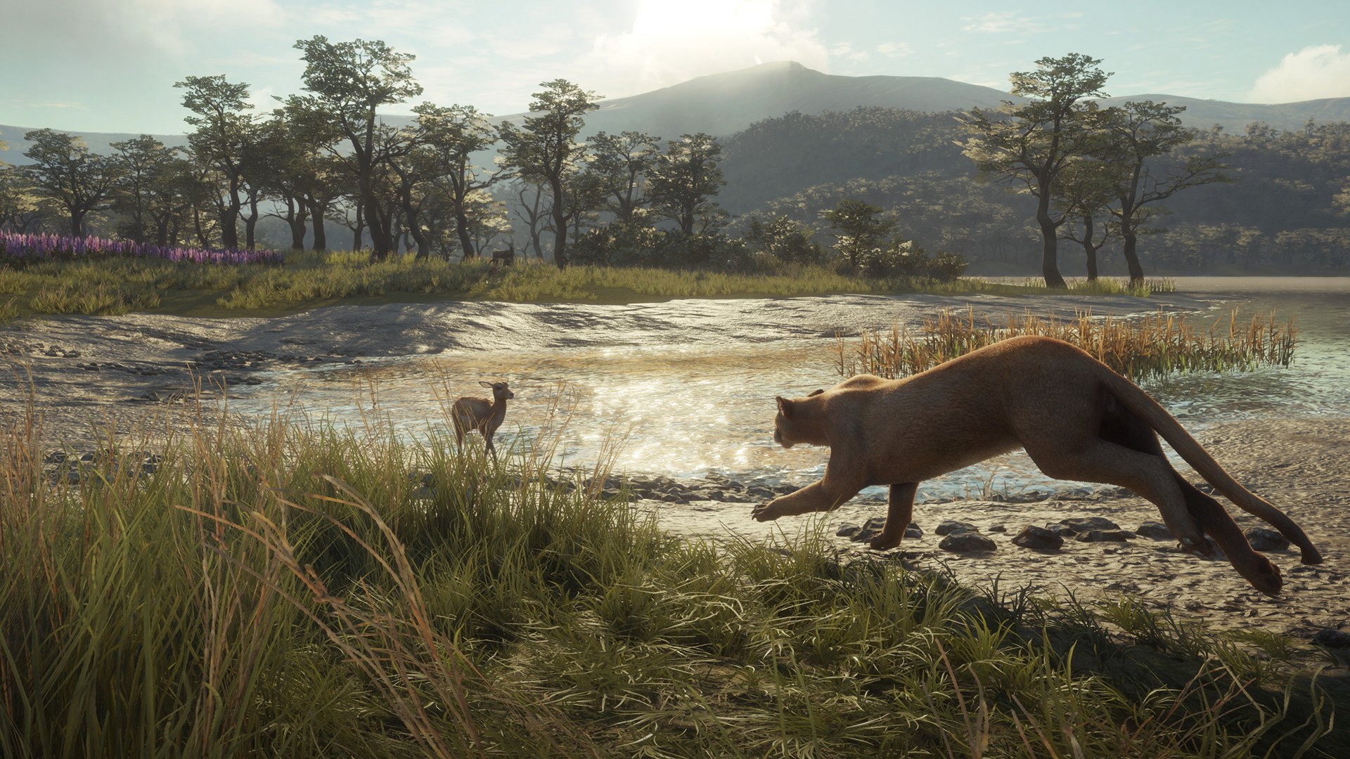 theHunter: Call of the Wild - Parque Fernando DLC PC Steam CD Key (valid until March, 2027)