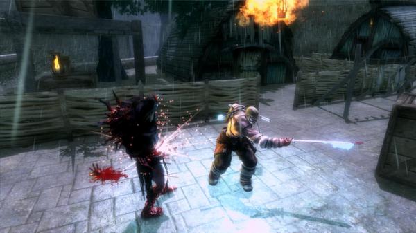 Viking: Battle for Asgard Steam Gift