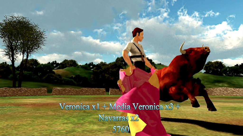 Toro Steam CD Key