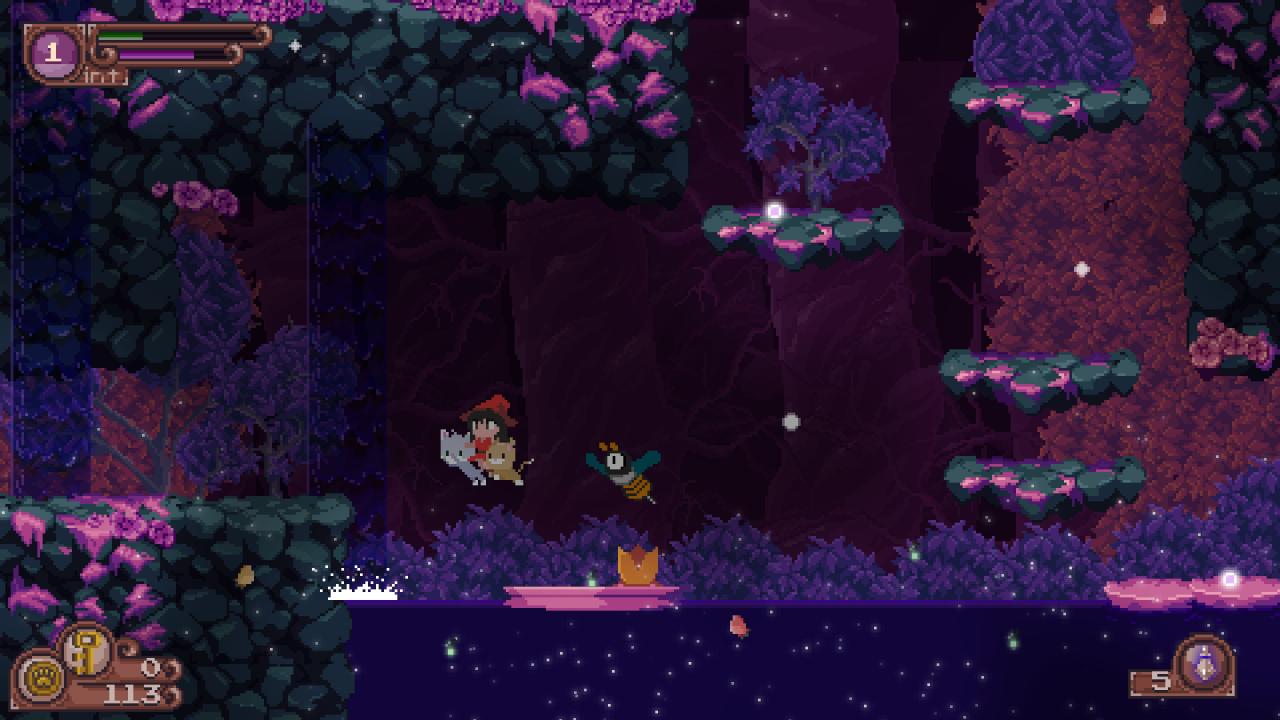 Catmaze PC Steam CD Key