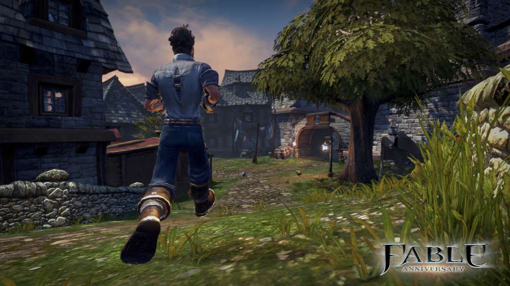 Fable Anniversary Steam Gift