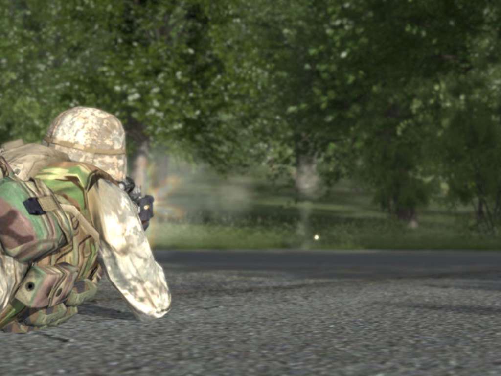 Arma: Combat Operations Steam Gift