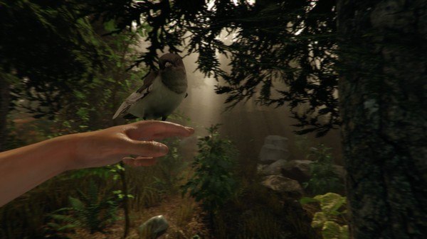 The Forest Steam Altergift