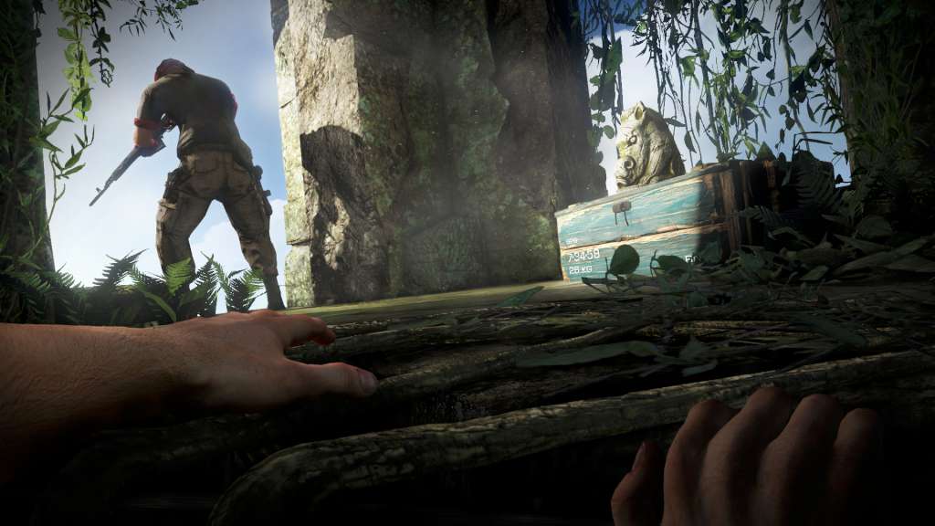 Far Cry 3 Deluxe Edition Steam Gift