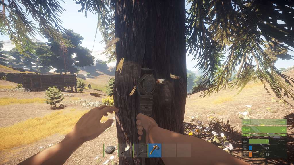 RUST Steam Gift