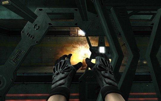 Twin Sector Steam Gift