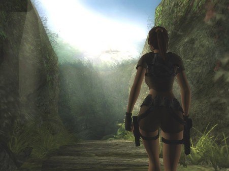 Tomb Raider: Legend PC Steam Gift