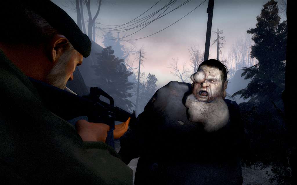Left 4 Dead Steam Gift
