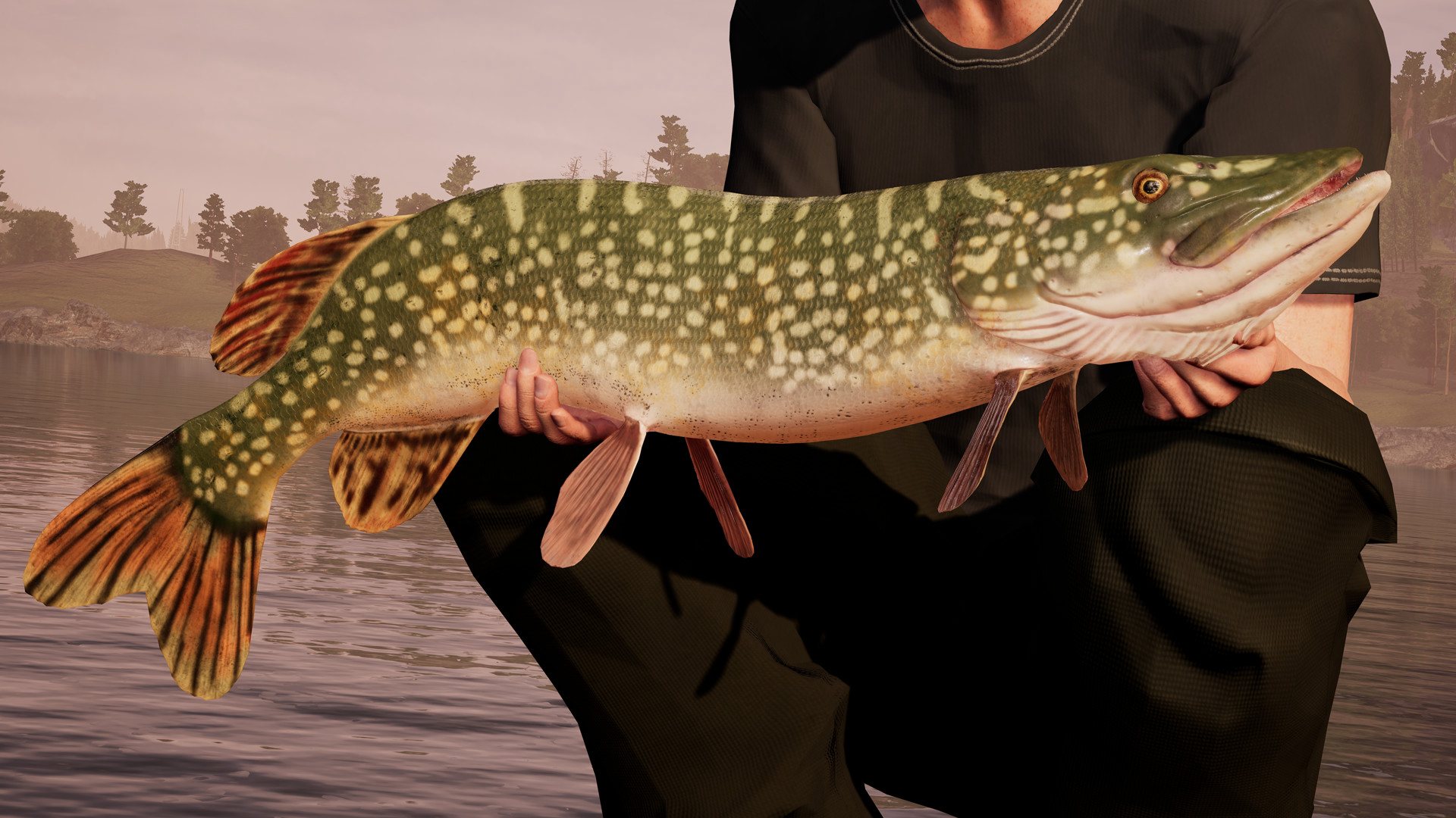 Fishing Sim World: Pro Tour EU PC Steam CD Key