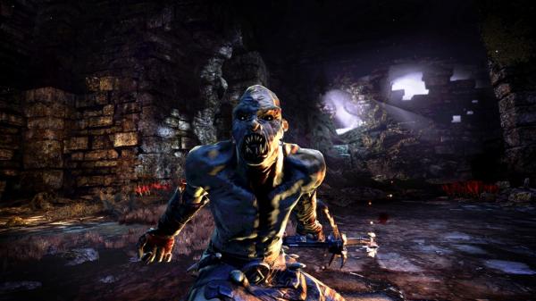 Hunted: The Demon’s Forge Steam Gift