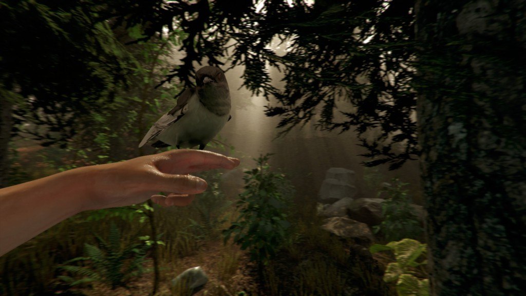 The Forest Steam Gift