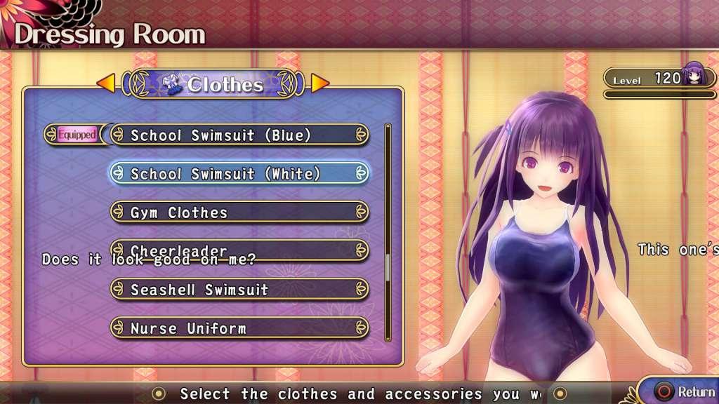 Valkyrie Drive -Bhikkhuni- PC Steam CD Key
