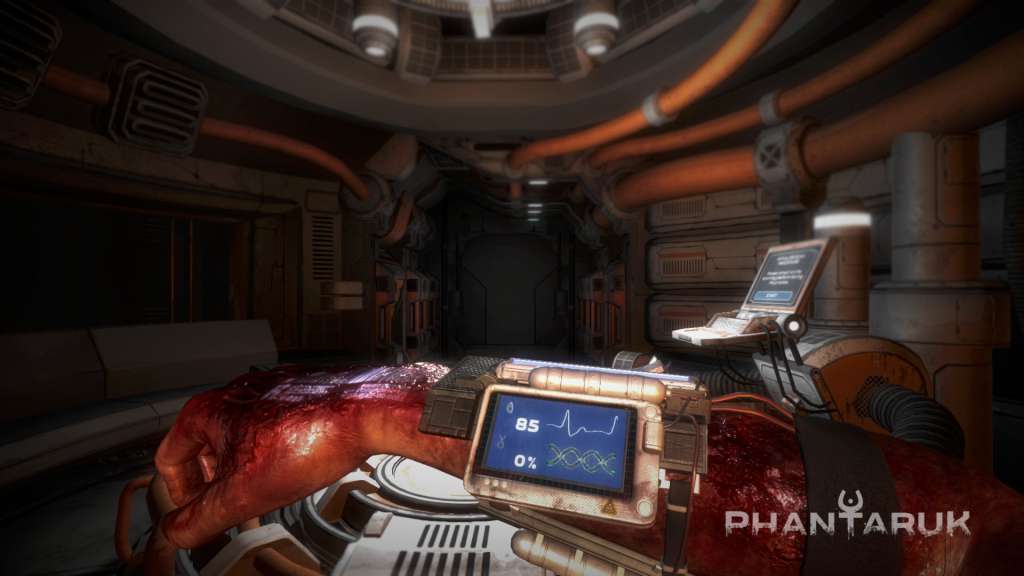 Phantaruk EU Steam CD Key