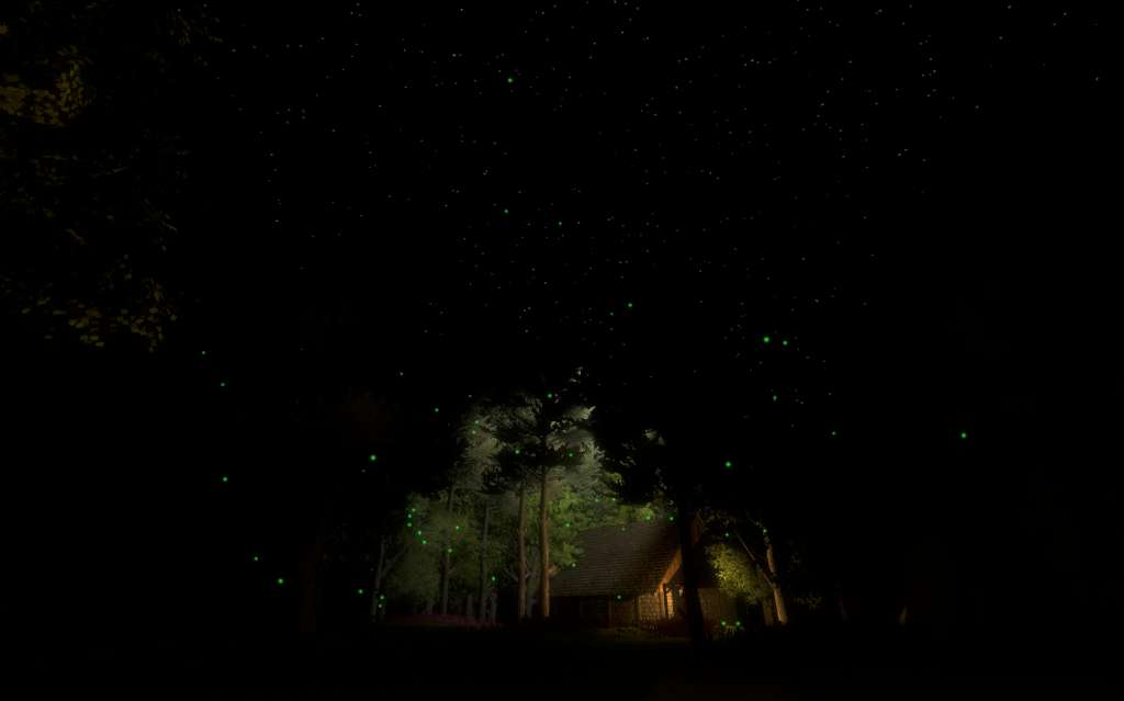Fireflies Steam CD Key