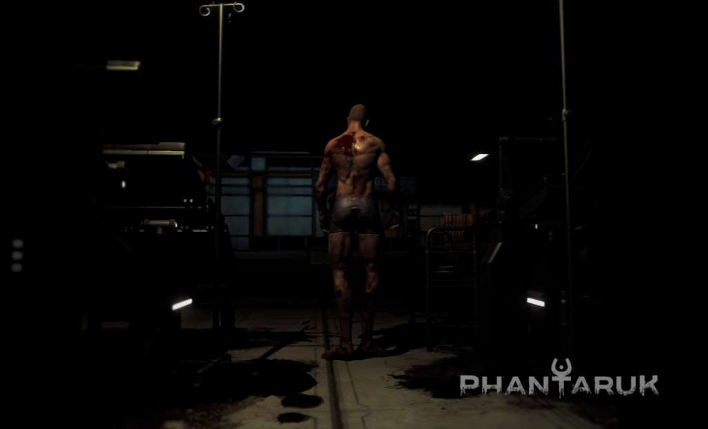 Phantaruk EU Steam CD Key