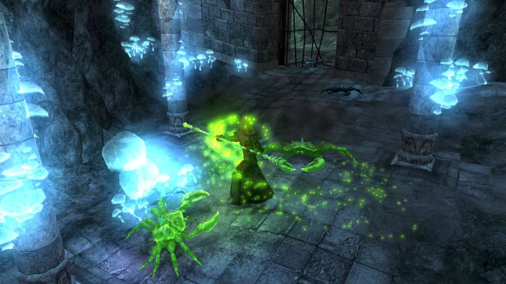 Avencast: Rise of the Mage Steam Gift