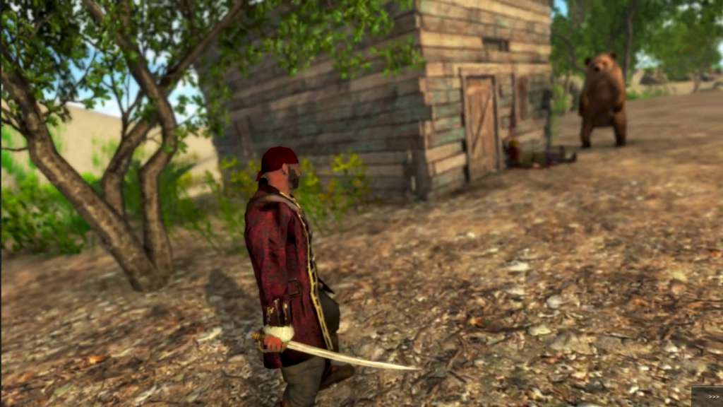 Caribbean Odyssey PC Steam CD Key