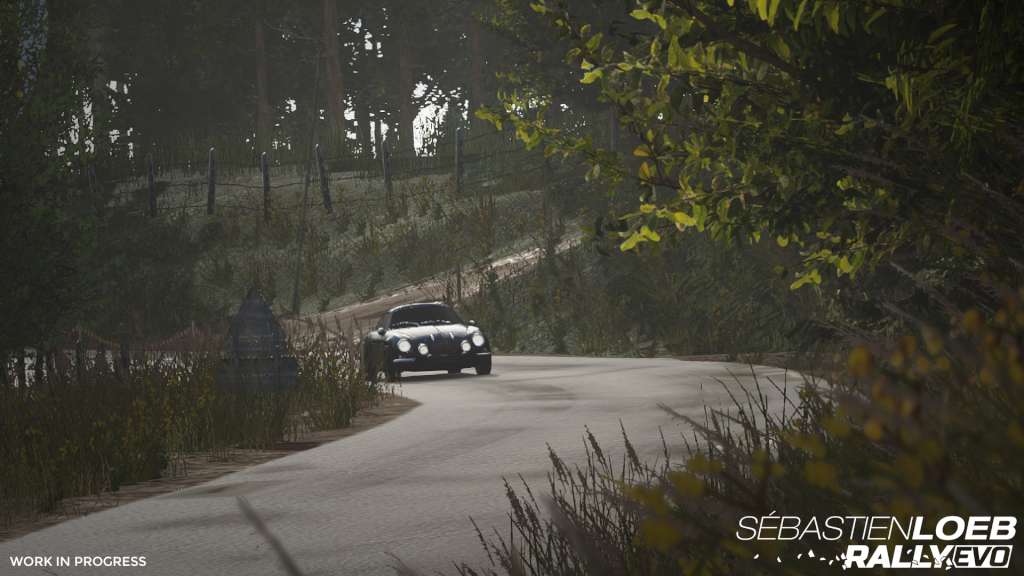 Sébastien Loeb Rally EVO Special Edition ASIA Steam Gift 