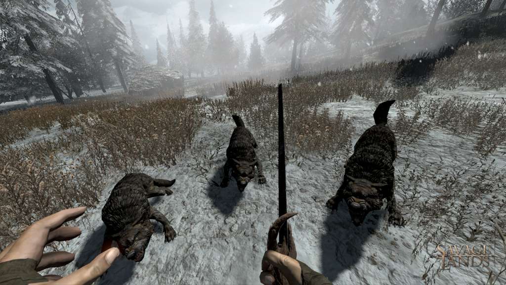 Savage Lands Steam Gift