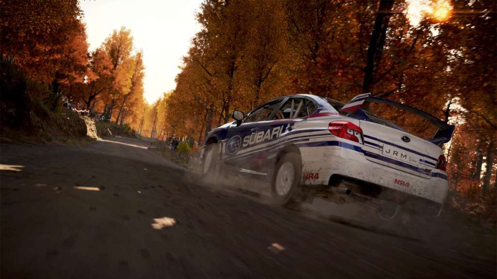 DiRT 4 RU/CIS PC Steam CD Key