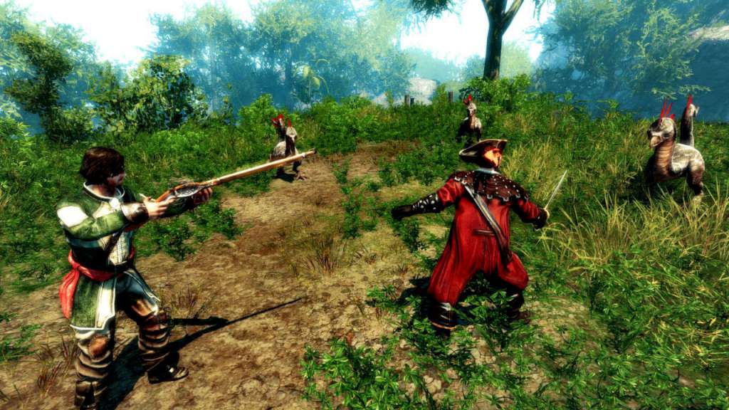 Risen 2: Dark Waters PC Steam CD Key