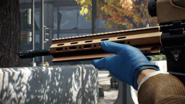 PAYDAY 2 - Gage Mod Courier DLC Steam Gift