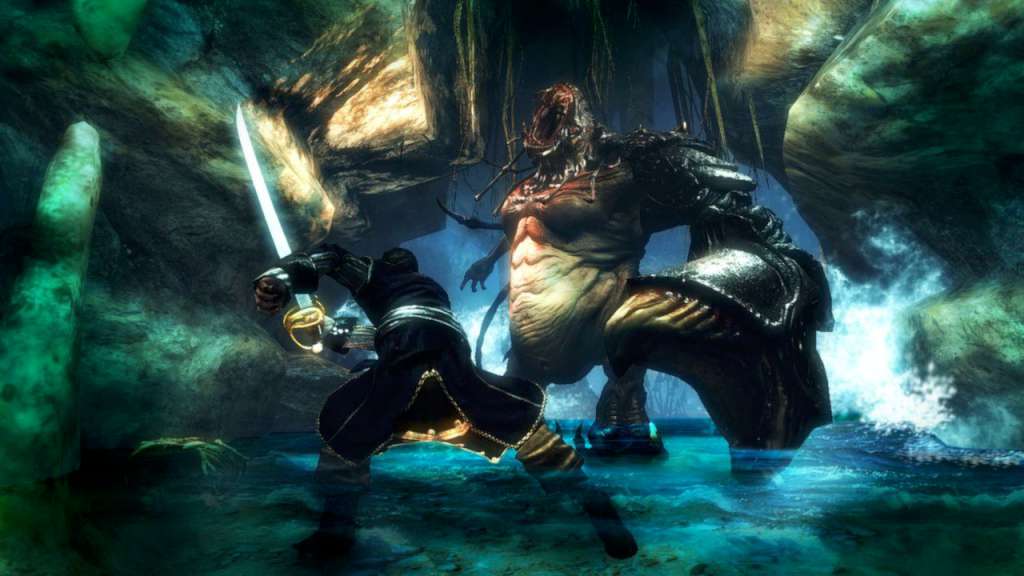 Risen 2: Dark Waters PC Steam CD Key