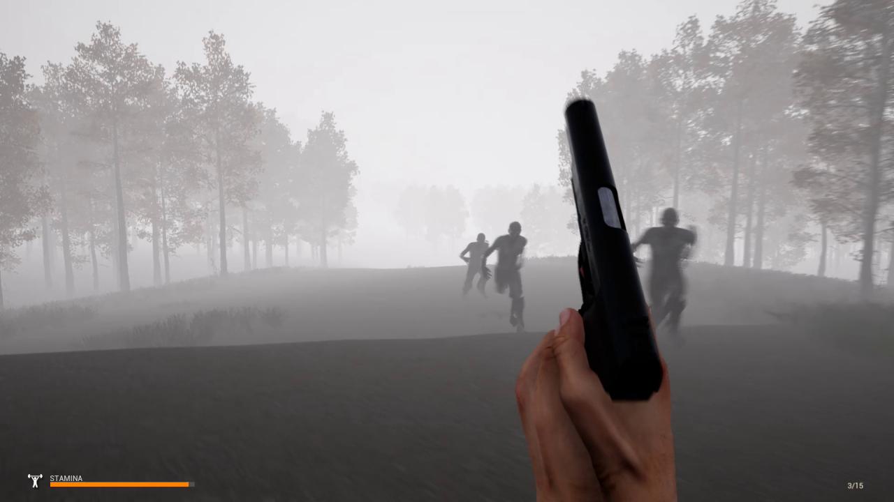 Mist Survival Steam Altergift