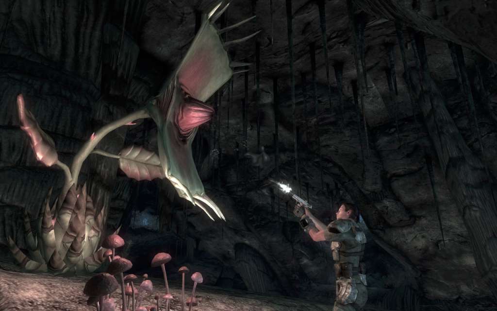 Fallout: New Vegas Ultimate Edition PL/CZ/RU Steam CD Key