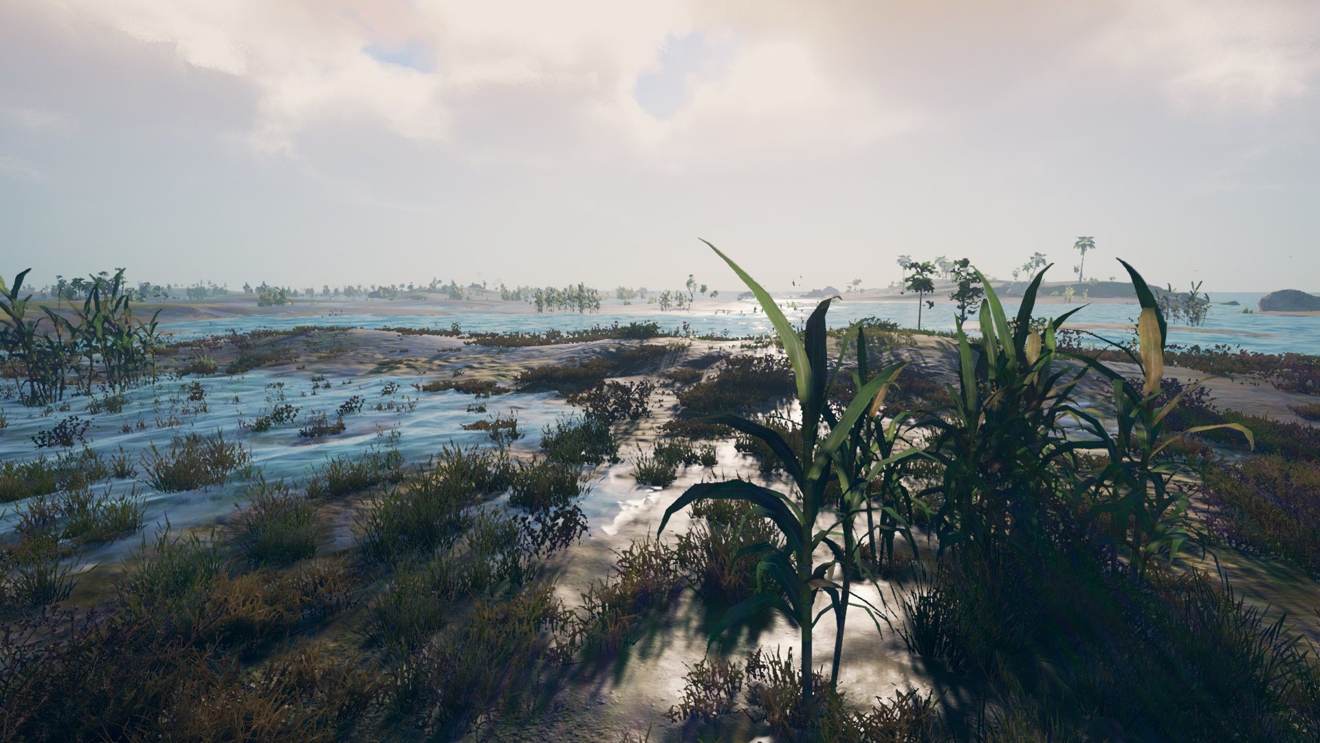 Survisland Steam Altergift