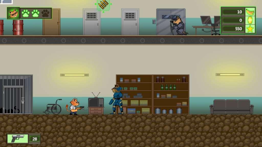 Crazy Catman Steam CD Key