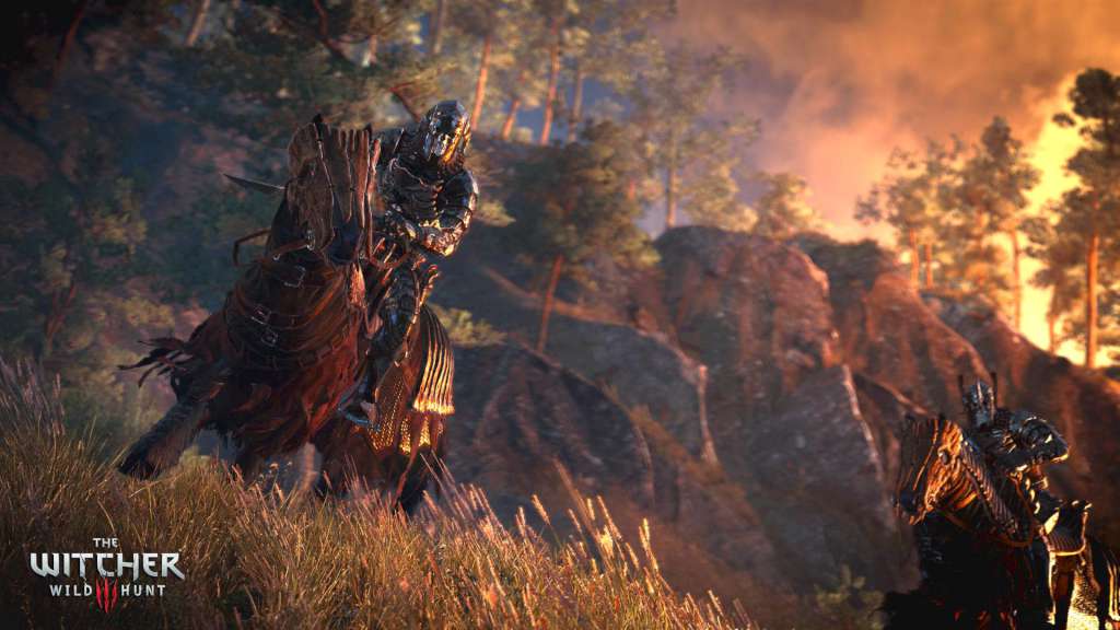 The Witcher 3: Wild Hunt - Expansion Pass Steam Gift
