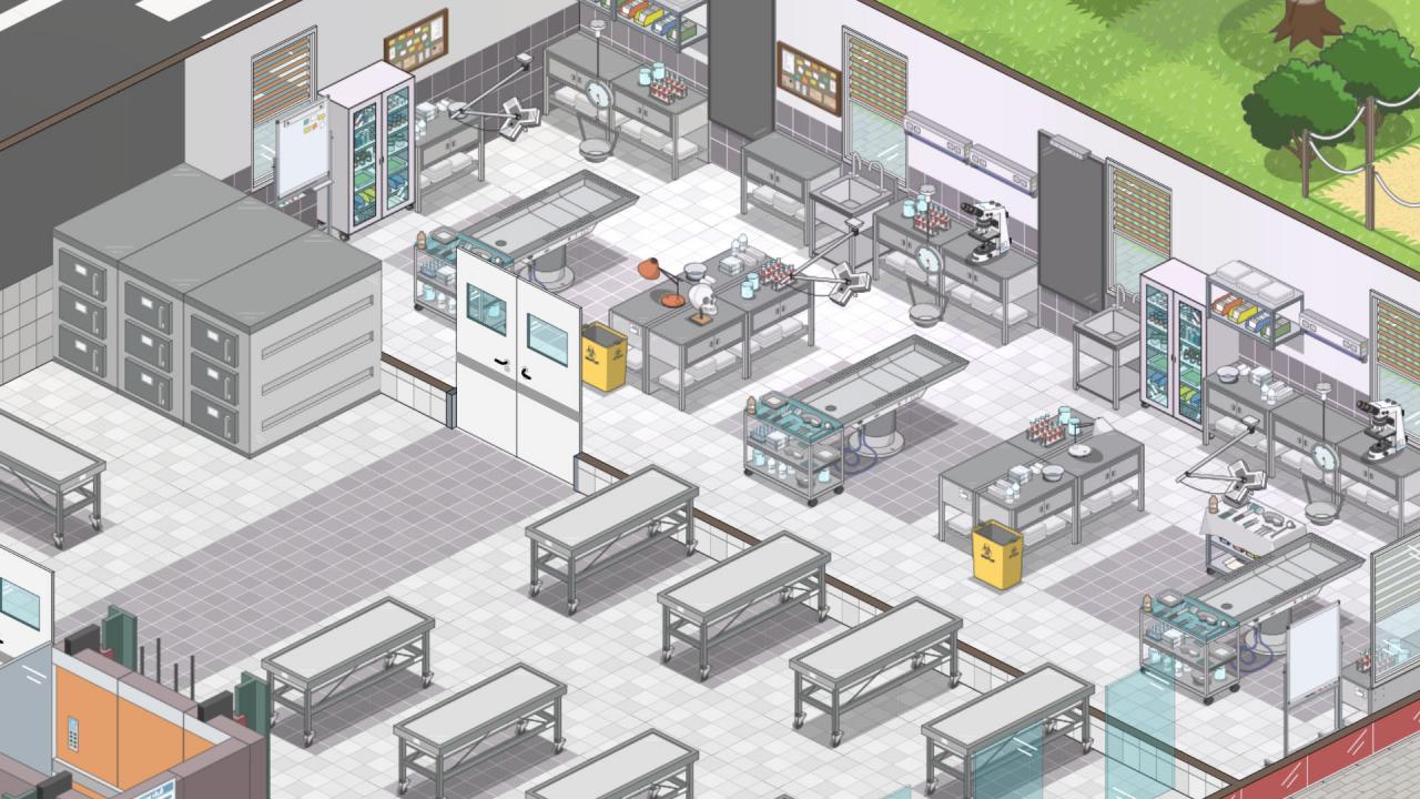 Project Hospital - Hospital Services DLC Steam Altergift