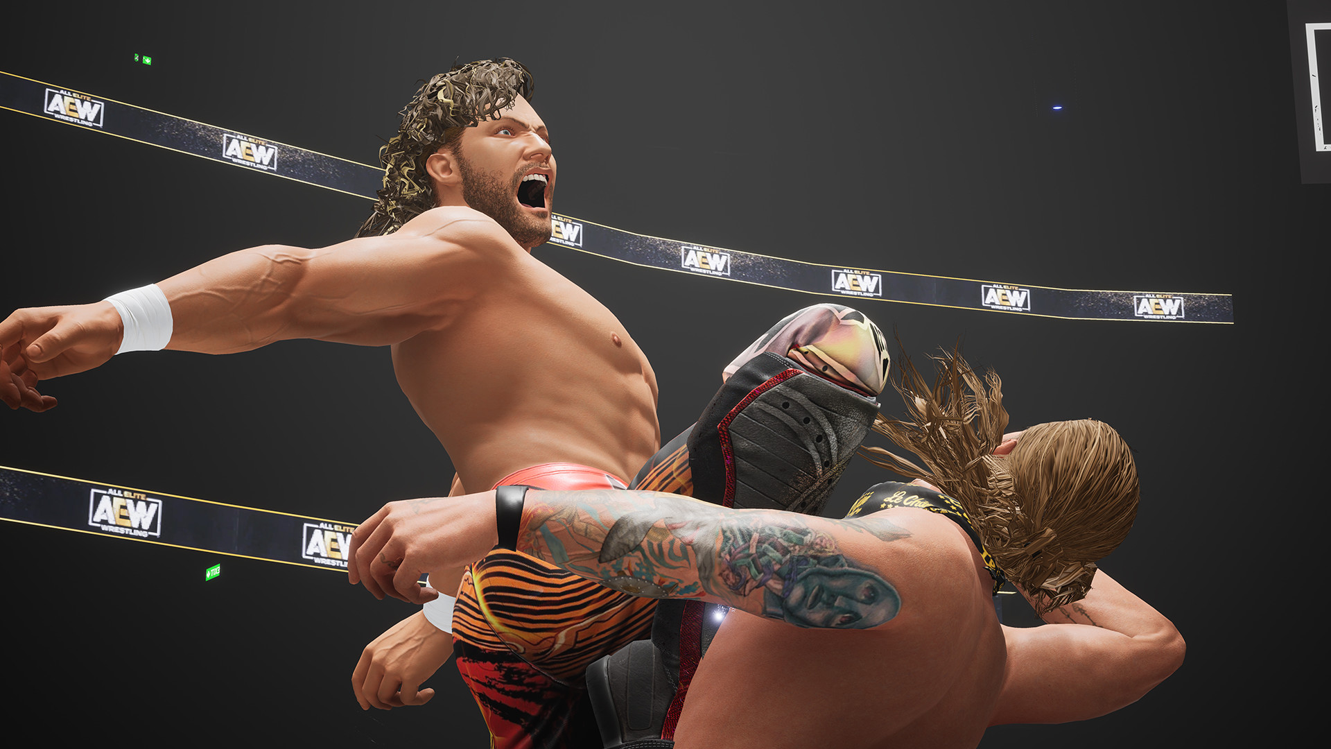 AEW: Fight Forever Elite Edition Steam Klucz cyfrowy