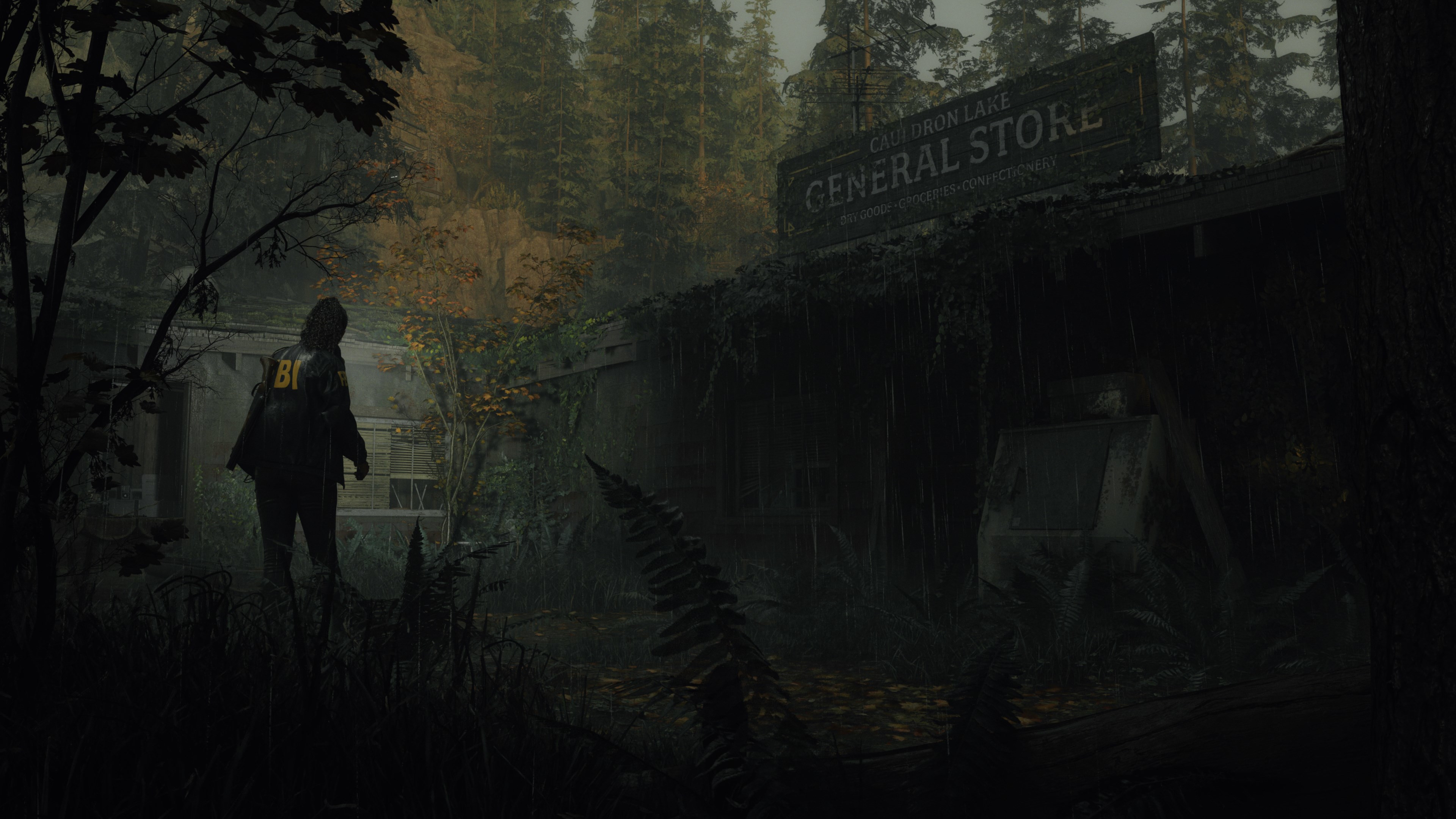 Alan Wake 2 Deluxe Edition Epic Games Account