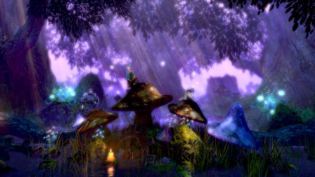 Trine Enchanted Edition EU Steam CD Key